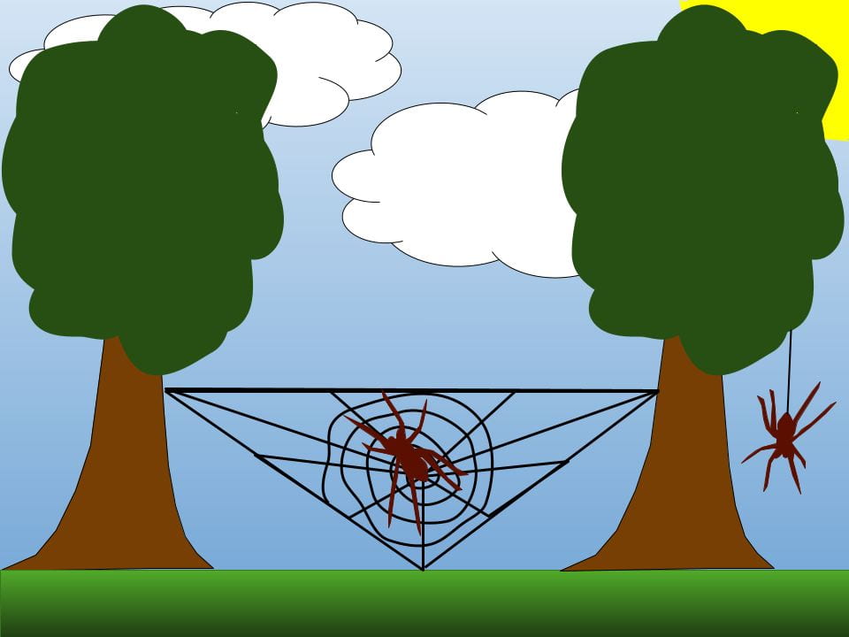 how-a-spider-makes-a-webs-azriel-weymouth-primary-school